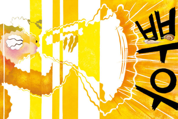 _____________________13